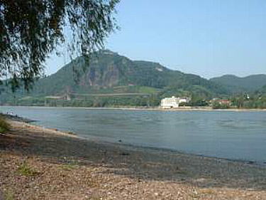 'Unser' Strand am Rhein - mit Blick auf den Drachenfels